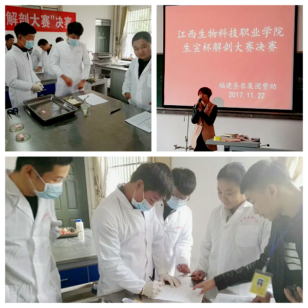点击浏览下一页