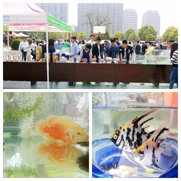 点击浏览下一页