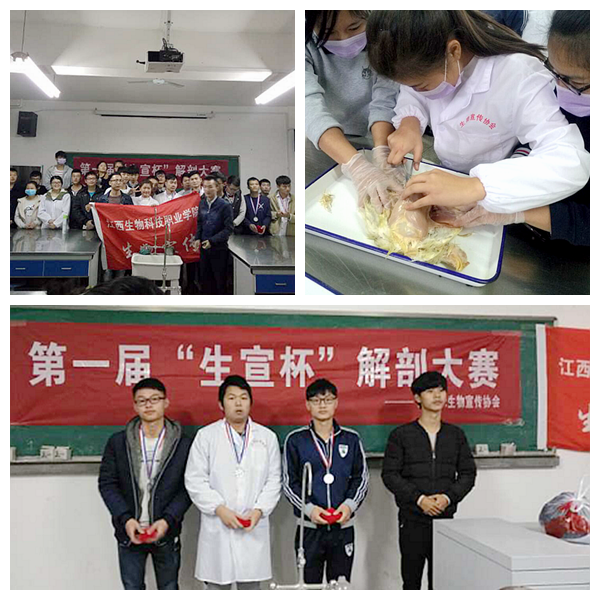 点击浏览下一页